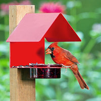 Couronne - The Cottage - House Bird Feeder - Red