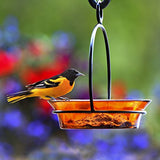 Couronne - Hanging Cuban Bird Bath or Feeder - Clear