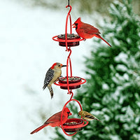Couronne - Hummble Bold Bird Feeder - Red