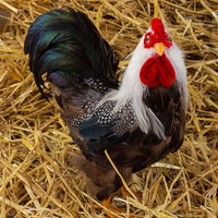 ZUCKER - Rustic Rooster Country Decorations | Farmhouse Decor | 12" White Natural Rooster Statue Figurine
