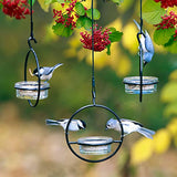 Couronne - 7" Hanging Sphere Bird Feeder - Clear