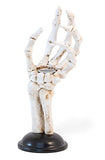 Boston International - Skeleton Hands Candle Holders - Set of 2