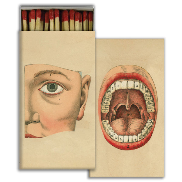 HomArt - Match Box Set of 2 - Stephen