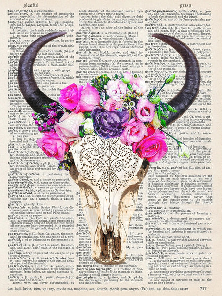 ArtNWordz -  Vintage Recycled Dictionary Print - Big Horn Skull