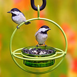 Couronne - Hummble Bold Bird Feeder - Lime