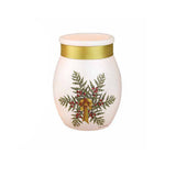 Stony Creek - 4" Frosted Glass Lighted Jar w/Ribbon - Elegant Holiday Star