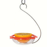 GC - Droll Yankees - BO's Marmalade Hanging Oriole Feeder
