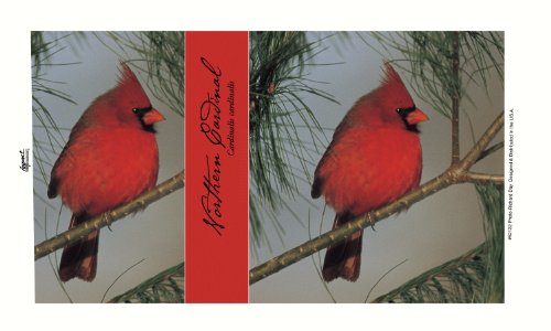 Impact - 14 oz Mug - Red Northern Cardinal