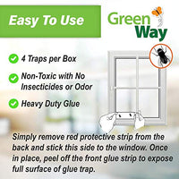 GC - Green Way - Captures Window Fly