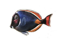 Bovano - Wall Sculpture - Achilles Tang