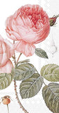 Boston International - Paper Guest Towel 16 Count - Elisabeth