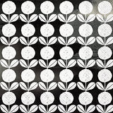 Boston International - 3-Ply 6.5" Lunch Napkins 20 Count - All About Black & White