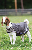 Horseware Ireland - Waterproof Goat Coat - Excalibur Silver & Blue - XXL