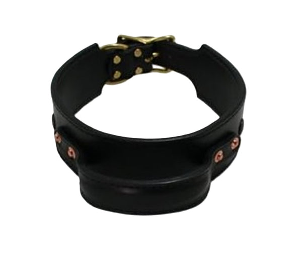 Auburn Leather - Quick Grab Trainer's Collar - 20" - Black