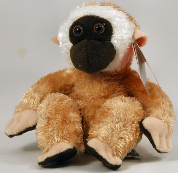 Aurora - Taddle Toes - Chatters Monkey