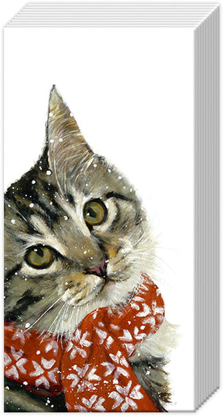 Boston International - Tissue 10 Pack - 2 Packs - Kitty
