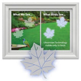GC - Window Alert -  Window Strike Deterrent - 4 Decals - Maple Leaf