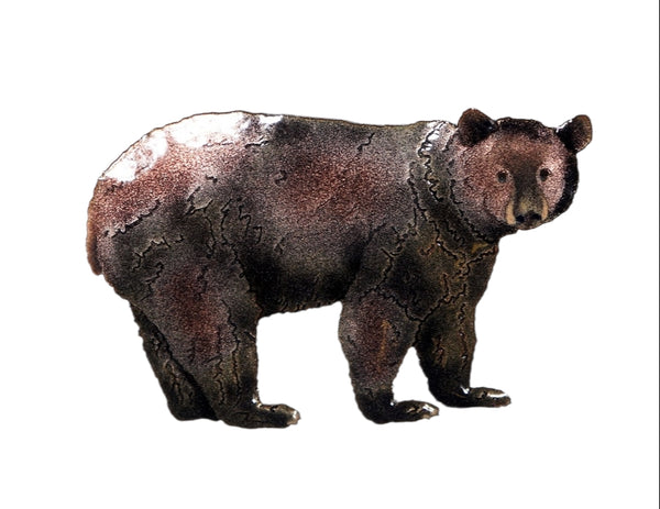 Bovano - Wall Sculpture - Single Black Bear