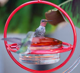Couronne - Hanging Sphere Hummingbird Feeder w/ Perch - Red