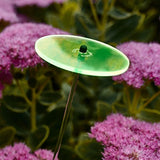 Cazador-del-sol - Suncatcher - Mini Singles - Green