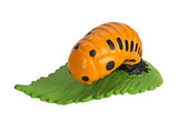 Safari Ltd - Safariology Collection - Life Cycle of a Ladybug