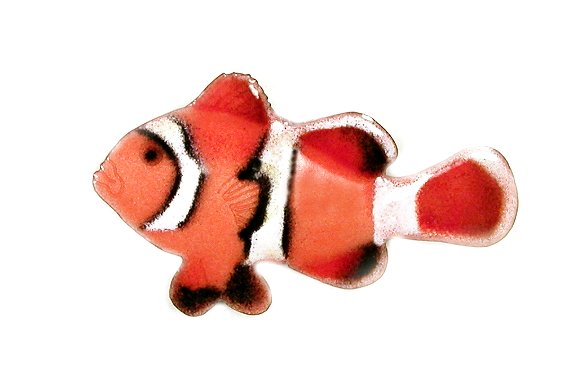 Bovano - Wall Sculpture - Anemone Fish - Left Facing