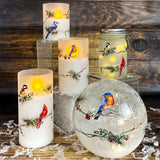GC - 5.5" LED Frosted Glass Mason Jar - Birds on Bough