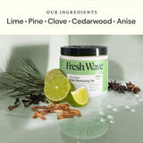 Fresh Wave - Natural Odor Removing Gel - 15 oz