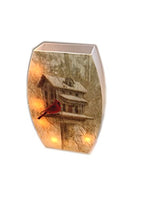 Stony Creek - Frosted Glass - 9.5" Lighted Vase - Cardinal & Birdhouse