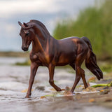 Breyer Morganquest Native Sun W1856, Dark Brown