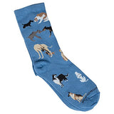 Wheel House Designs Socks - Dogs All Over on Blue - 9-11