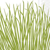 Boston International - 3-Ply 5" Cocktail Napkins - Seagrass