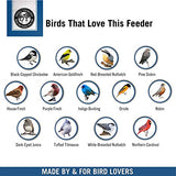GC - Droll Yankees - Seed Saver Platform Feeder - 10-Inch Dome