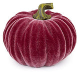 Boston International - Medium Velvet Pumpkin - Burgundy