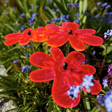 Cazador-del-sol - Suncatcher - Mini Sunflower Bouquet - Autumn Leaves