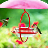 Couronne - Hanging Sphere Hummingbird Feeder w/ Perch - Red
