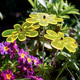 Cazador-del-sol - Suncatcher - Mini Sunflower Bouquet - Yellow