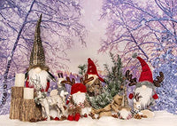 Boston International - Small Gnome - Walt The Winter Gnome