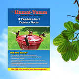 GC - Humm-Yumm - Hummingbird Feeder - Protein Feeder - 8oz