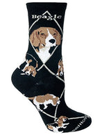 Wheel House Designs Socks - Beagle on Black - 9-11