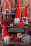 Boston International - Small Velvet Pumpkin - Burgundy