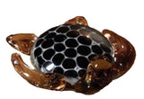 Two's Company - Galapagos Glass Turtle - Black