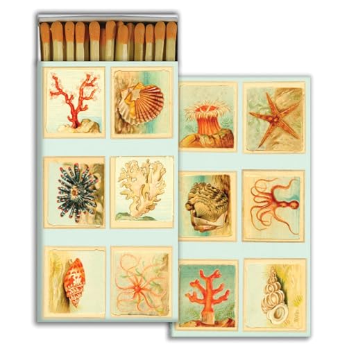 HomArt - Match Box Set of 2 - Mollusks, Coral, Seastars