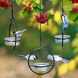 Couronne - 7" Hanging Sphere Bird Feeder - Aqua