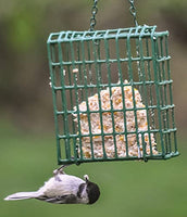 GC - C&S Products - 11.75 oz Suet Cake - Cherry