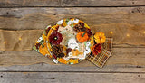 Boston International - Tabletop Mini Boxed Pumpkins - Orange
