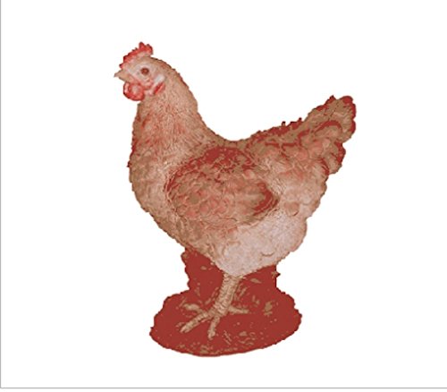 Border Concepts - Lawn/Garden Statue - Orpington Summer Hen - 11"