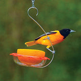 GC - Droll Yankees - BO's Marmalade Hanging Oriole Feeder