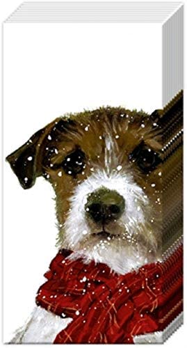 Boston International - Tissue 10 Pack - 2 Packs - Archie