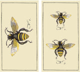 HomArt Large Decorative Insects Bee Matches